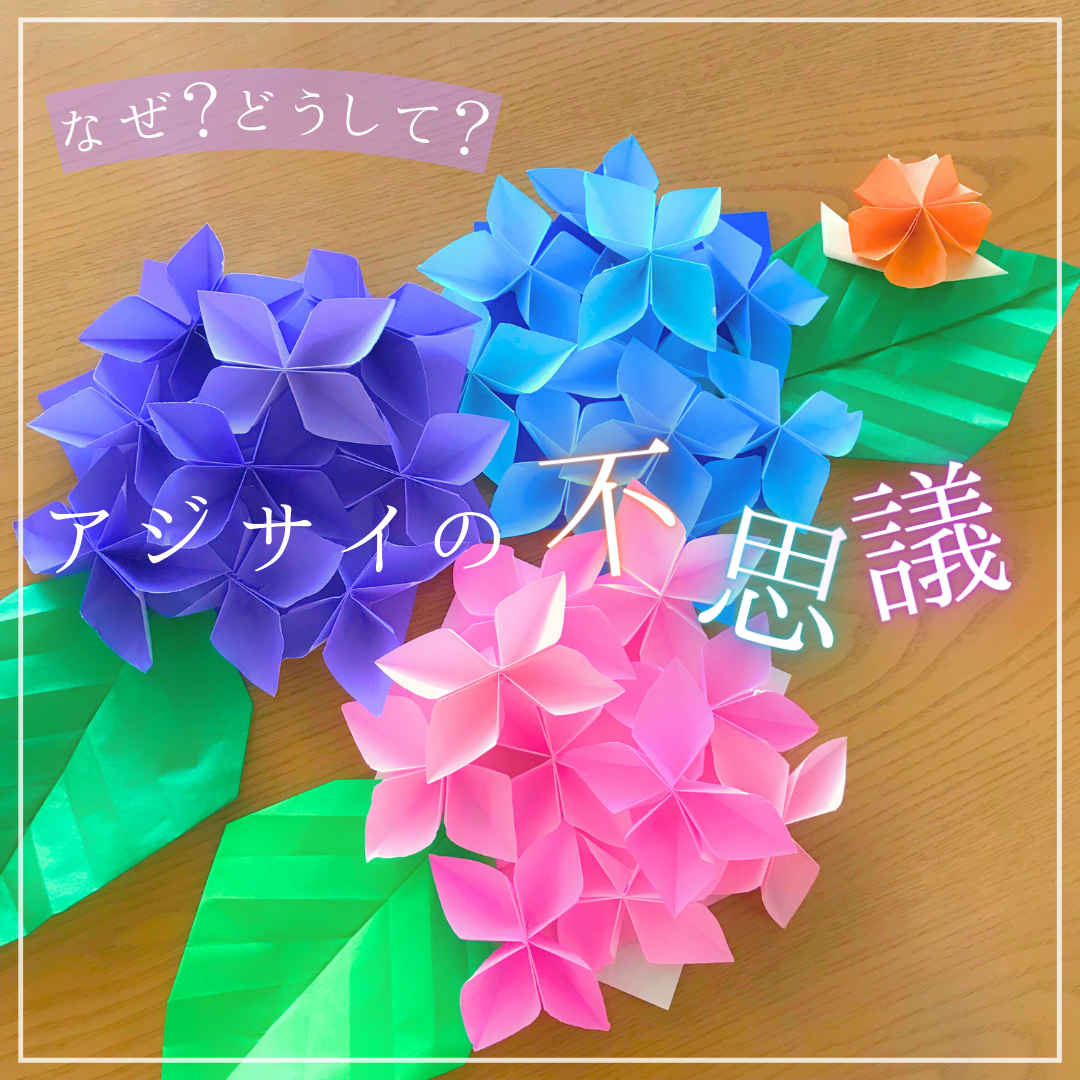 なぜ？どうして？
